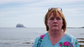 Avian flu strikes the world's largest gannet colony on Bass Rock