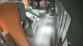 Shiba Inus run into Chinese gym, smashing glass door in process