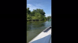 ''Biggest Fish Haul!' Guy traps a PLETHORA of fish by smartly throwing a cast net '