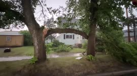 Violent winds tear through Brainerd in Minnesota damaging trees