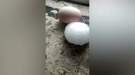 Egg-sized hailstones pummel city in northern China