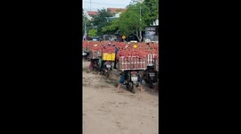 Hundreds of motorbikes transporting baskets of lychees cause jams in Vietnam