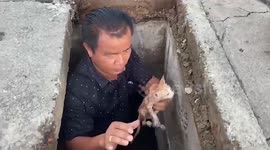 Lost kitten rescued after getting stuck in sewer in Thailand