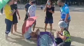 Injured dolphin stranded on beach rescued in Phuket, Thailand