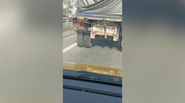 Kitten wedged between moving truck's back wheels rescued in Thailand