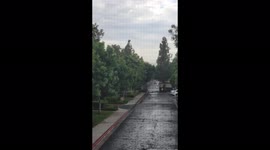 Woke up to loud rolling thunder . I grabbed my camera and got this video