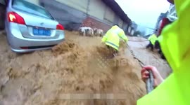 Police officers rescue woman trapped in car that was submerged by floods in China
