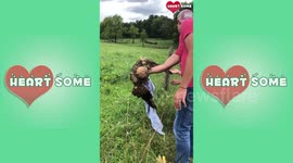 Successful Owl Rescue at Owensboro, Kentucky