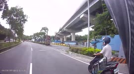 Motorist spots 2 parrots enjoying moped ride with owner in Taiwan