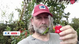 Stunning Slow Motion Footage of a Hummingbird Eating from a Mans Hand