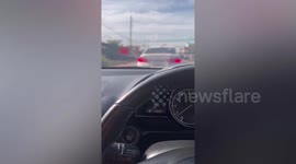 Kitten rescued after being found stuck inside moving car