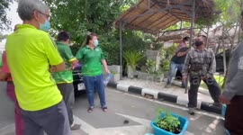 Fight erupts as impatient customers queue to buy cannabis plants in Thailand