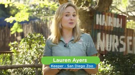 Herd you wanted more? Watch these hoofed babies enjoy breakfast at the zoo