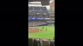 Stewards spring into action as fan invades pitch during MLB match