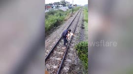 Hero train driver rescues disabled dog lying on railroad tracks in Thailand