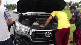Kitten rescued after getting stuck inside car engine for two hours