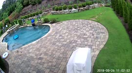 Man Falls in Pool