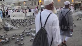 Muslim pilgrims feed pigeons near the Grand mosque in the holy Saudi city of Mecca, during annual Hajj pilgrimage