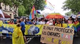 LGBT activists march in Paris Gay Pride