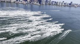 Jetski parade on Hudson River in New York - hundreds of participants