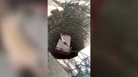 Stranded leopard rescued using cot after falling into well in northern India