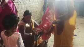 Dog Marriage, According to Hindu religion. Footage of marriage of two dogs in India. 400 people we in the wedding party.