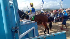 The Get Star Horse  Racing inscident in Padang Panjang