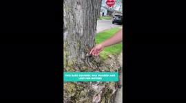 Baby Squirrel Rescued