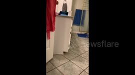 Girl Gets Poop Prank