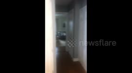 Dad Fooled by Poop Prank