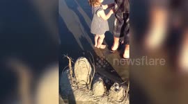 Girl Pulls out Shells at Beach
