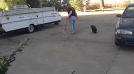 Teen Tries to Walk Cat