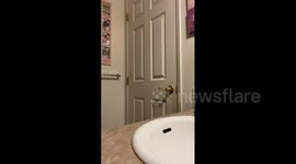 Bathroom Poop Prank