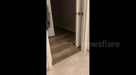 Woman Pulls Poop Prank on Daughter