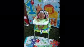 Baby Covered in Frosting