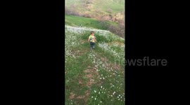 Boy Mistakes Poop for Rock