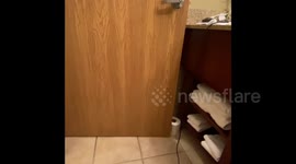 Girl Falls For Poop Prank