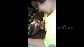 Cat Licks Man's Hair