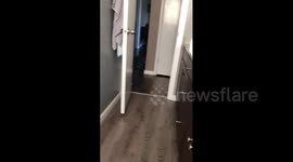 Boy Fooled By Poop Prank