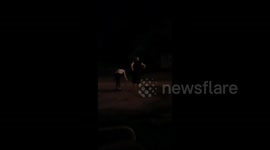 Woman Runs from Firework