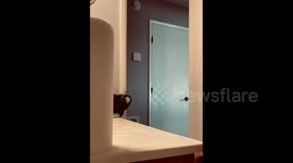 Woman Tricks Boy With Poop Prank