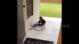 Boy Spits Water From Dog Bowl