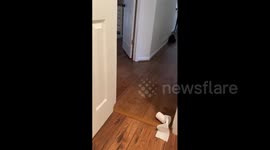 Girl Tricked By Poop Prank
