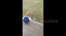 Boy Tries to Eat Ant