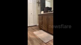 Toilet Paper Poop Prank