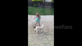 Girl Wipes Dog's Butt