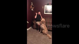 Teen Shocked By Collar