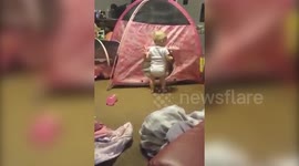 Bulldog Plays In Tent