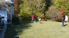 Dad Shovels Dog Poop