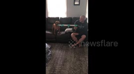 Man Shoots Dog With Nerf